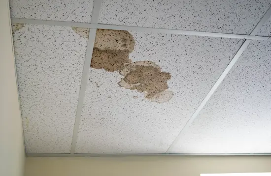 Damaged ceiling tiles from a leaking roof